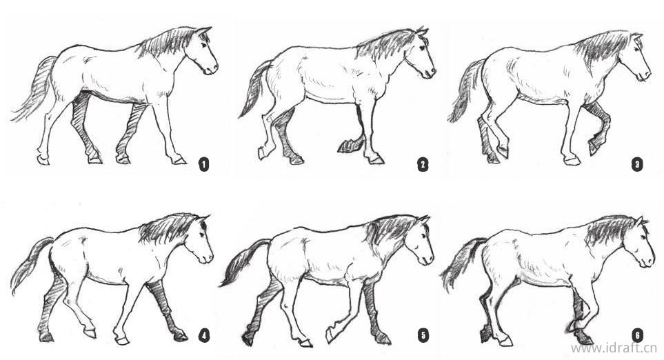 马的素描集锦:走路和奔跑的的素描图解以及不同品种的