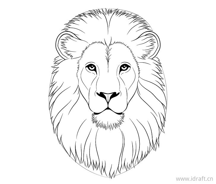 如何一步步画出狮子脸和狮子头的方法-快速线描步骤