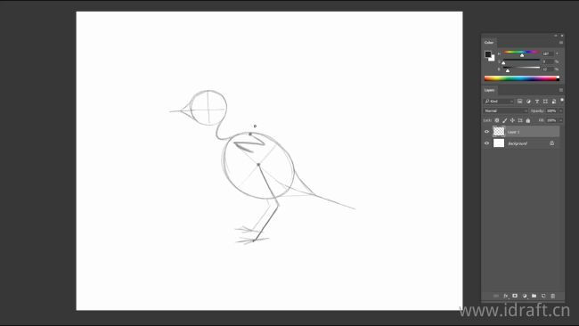 鸟儿的素描图