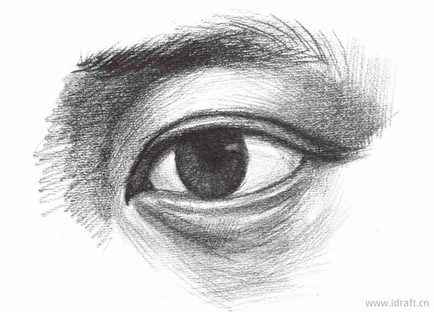 正面眼睛素描完成图